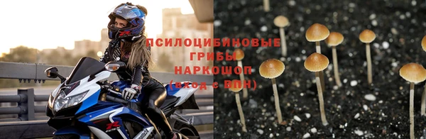 СК Болохово